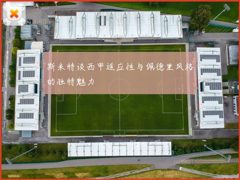 斯米特谈西甲适应性与佩德里风格的独特魅力